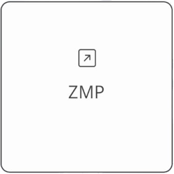 ZMP