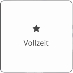 Vollzeit